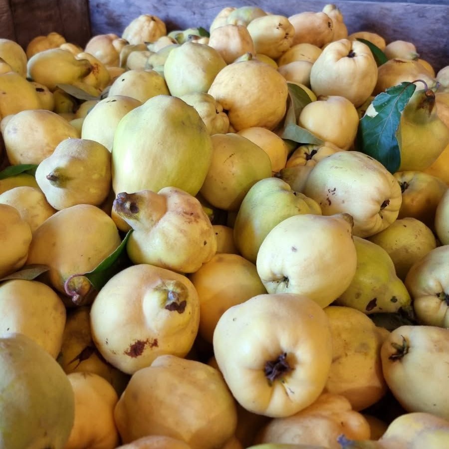 Quinces - 1kg bag