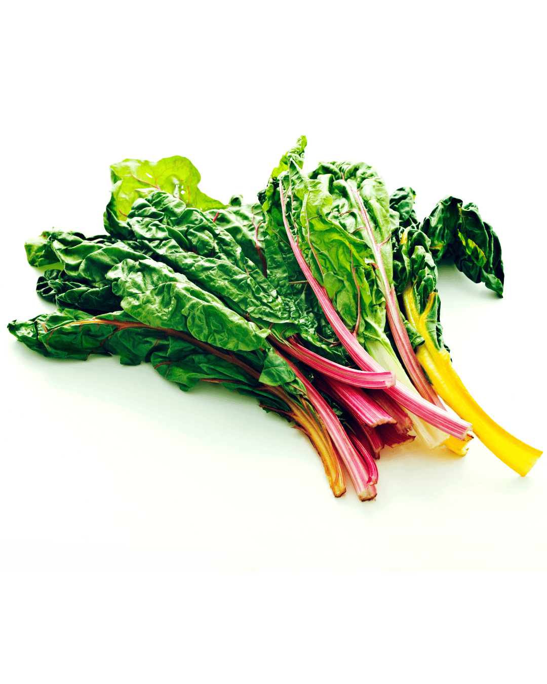 Rainbow Chard - bunch