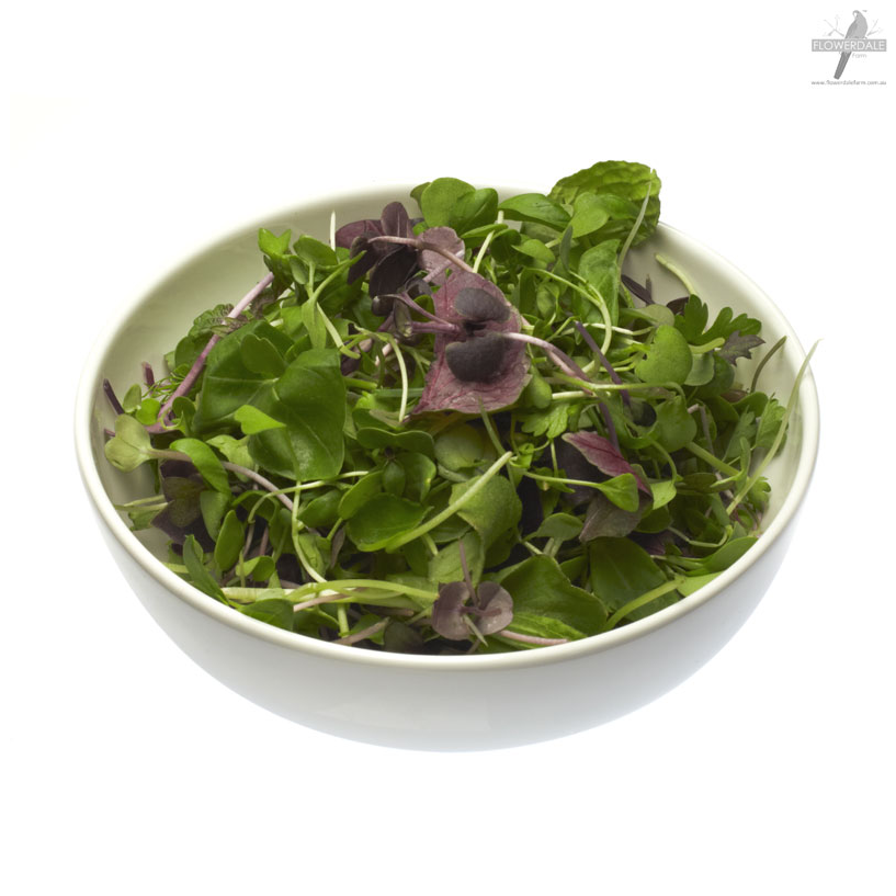 Microsalad Mix - 100g Punnet