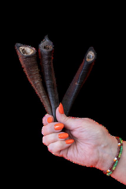Lily's Dog Treats - Goat Horn (single)