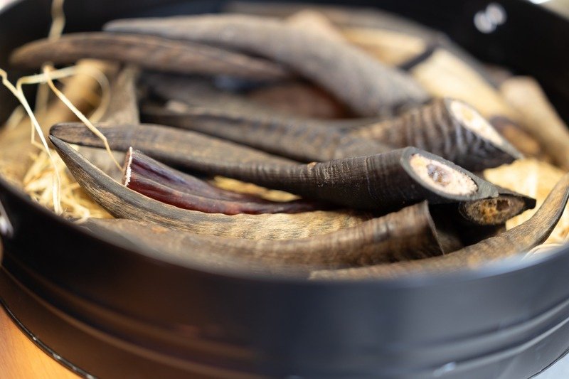 Lily's Dog Treats - Goat Horns (5 pack)