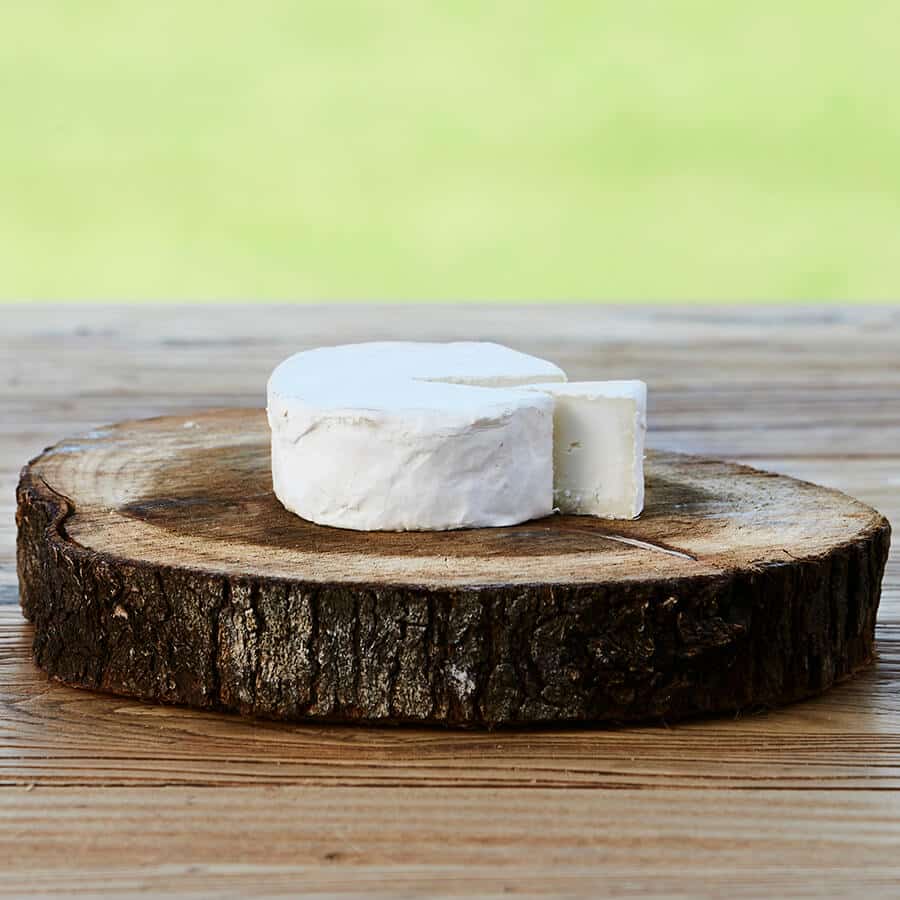 Main Ridge Dairy - Cilia 180-220g