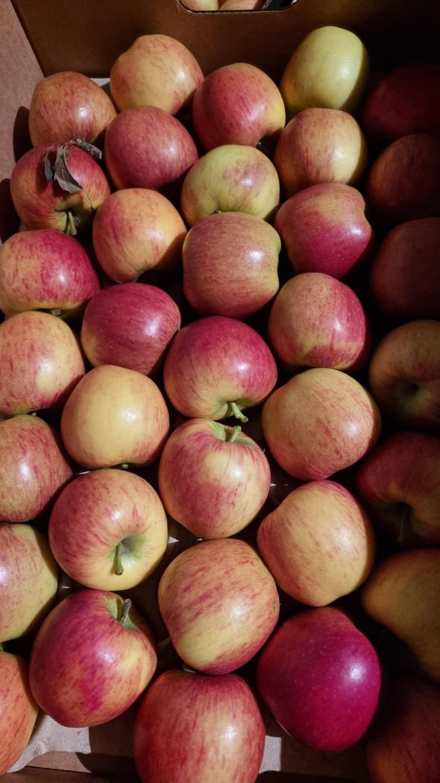 Apples - Kalei - approx. 157g