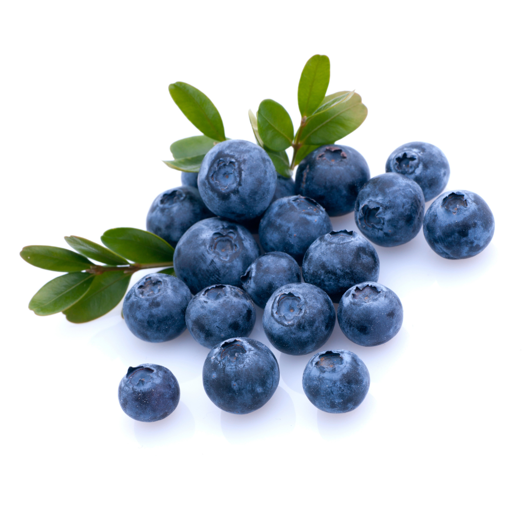 Blueberries - Punnet - 500g - Red Hill Blueberries - Punnet - 500g - Red Hill