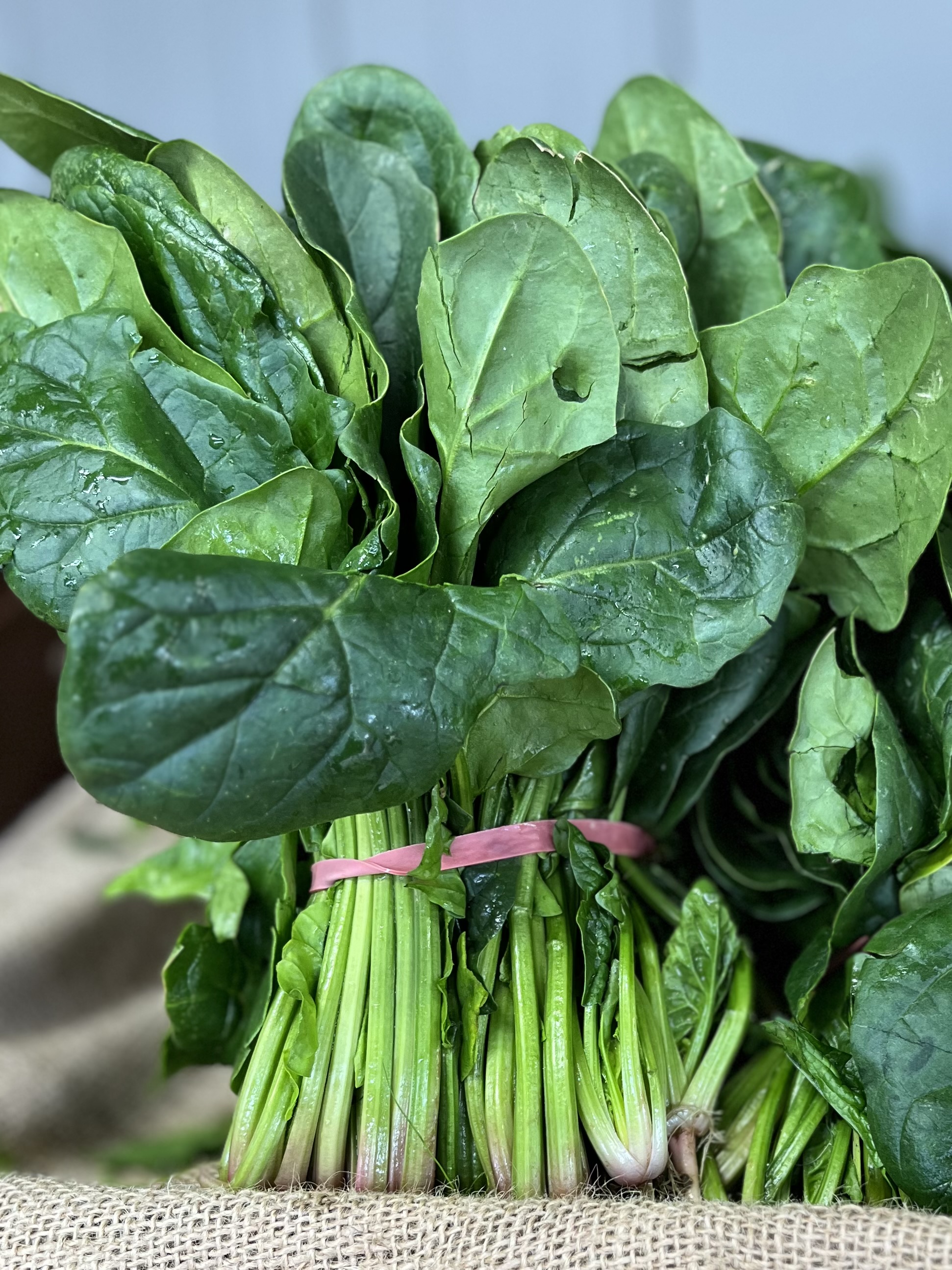 Spinach - Bunch