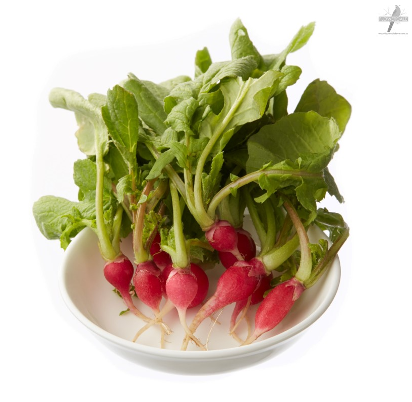Microgreens - Red Radish (pot)